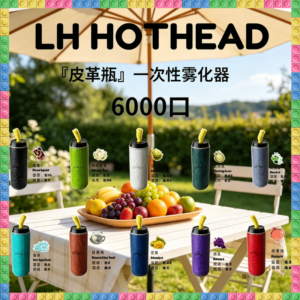 LH HOTHEAD皮革瓶6000口一次性可充電電子煙 多種水果冰感風味