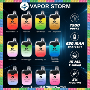 Vapor Storm風暴電子煙 一次性拋棄式7500口 多種水果冰感風味